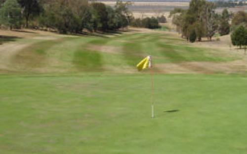 5th and 14th Green