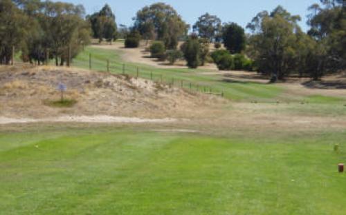 7th and 16th Tee