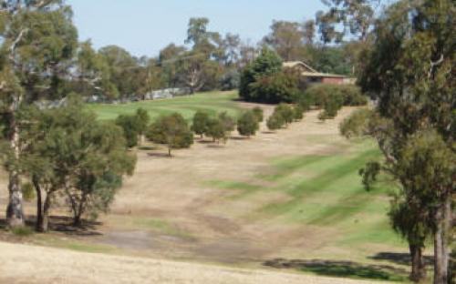 9th Tee