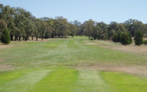 3rd and 12th Tees