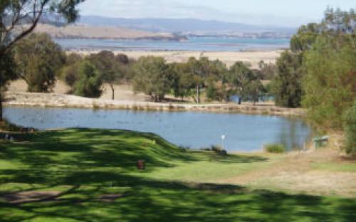 4th and 13th Tee