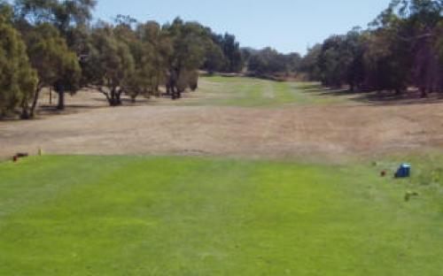 5th and 14th Tee