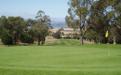 3rd and 12th Green